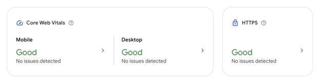 User interface with performance metrics for a website, indicating good mobile and desktop performance and secure HTTPS status, with no issues detected.