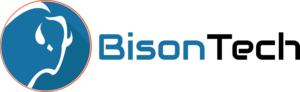 bisontech-consulting-logo