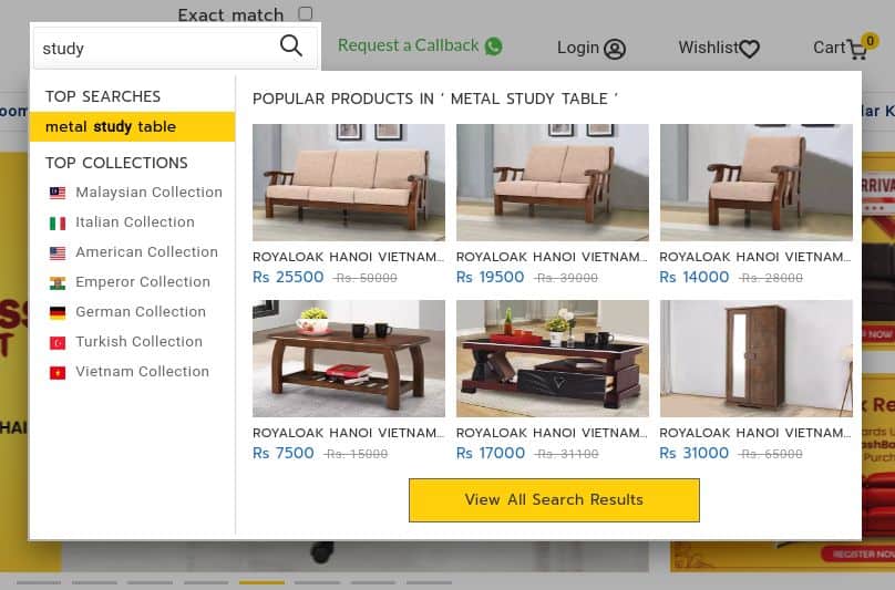 Ecommerce product search