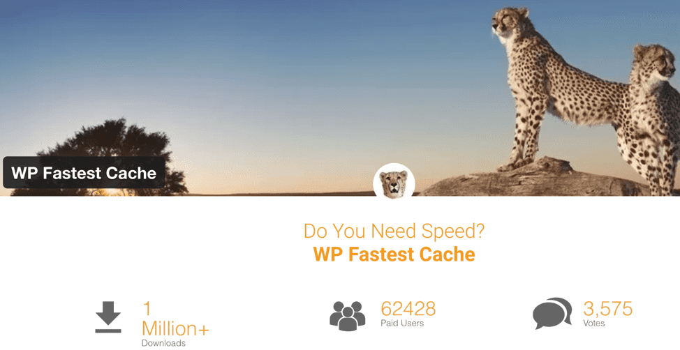 WP Fastest Cache