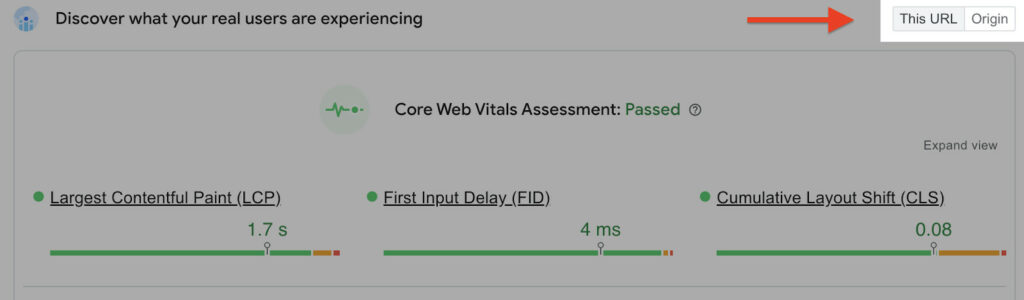 Core Web Vitals Assessment interface