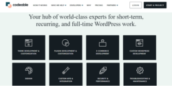 How to Integrate React with WordPress: Step-by-Step Guide - Codeable