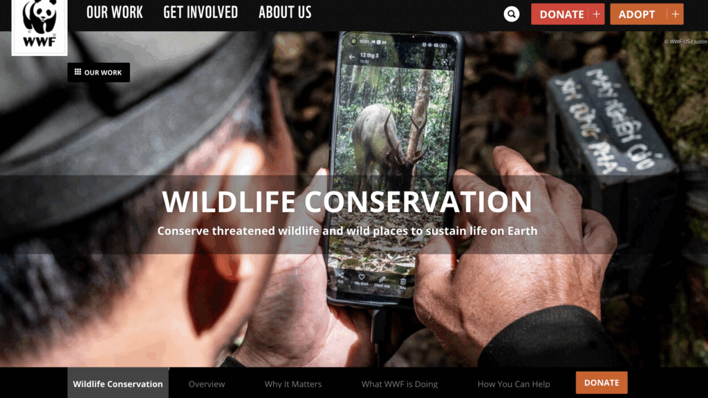 WWF’s website featuring clear messaging and descriptive images | Source: WWF