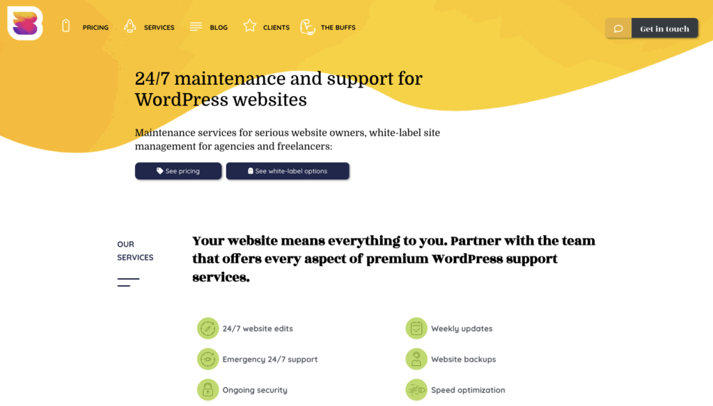 WP Buffs – WordPress website management and support services